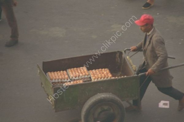 Egg Man, Place Jemaa el-Fna, Marrakech